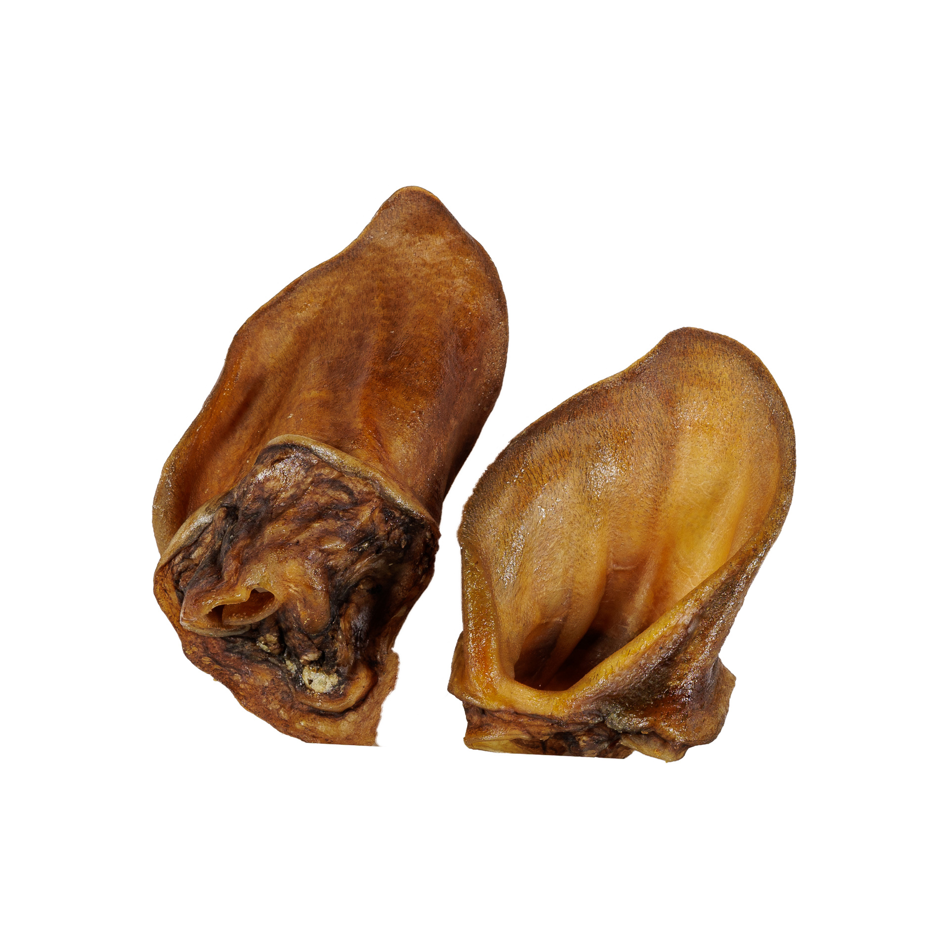 Ucho dzika 100g - obrazek 3