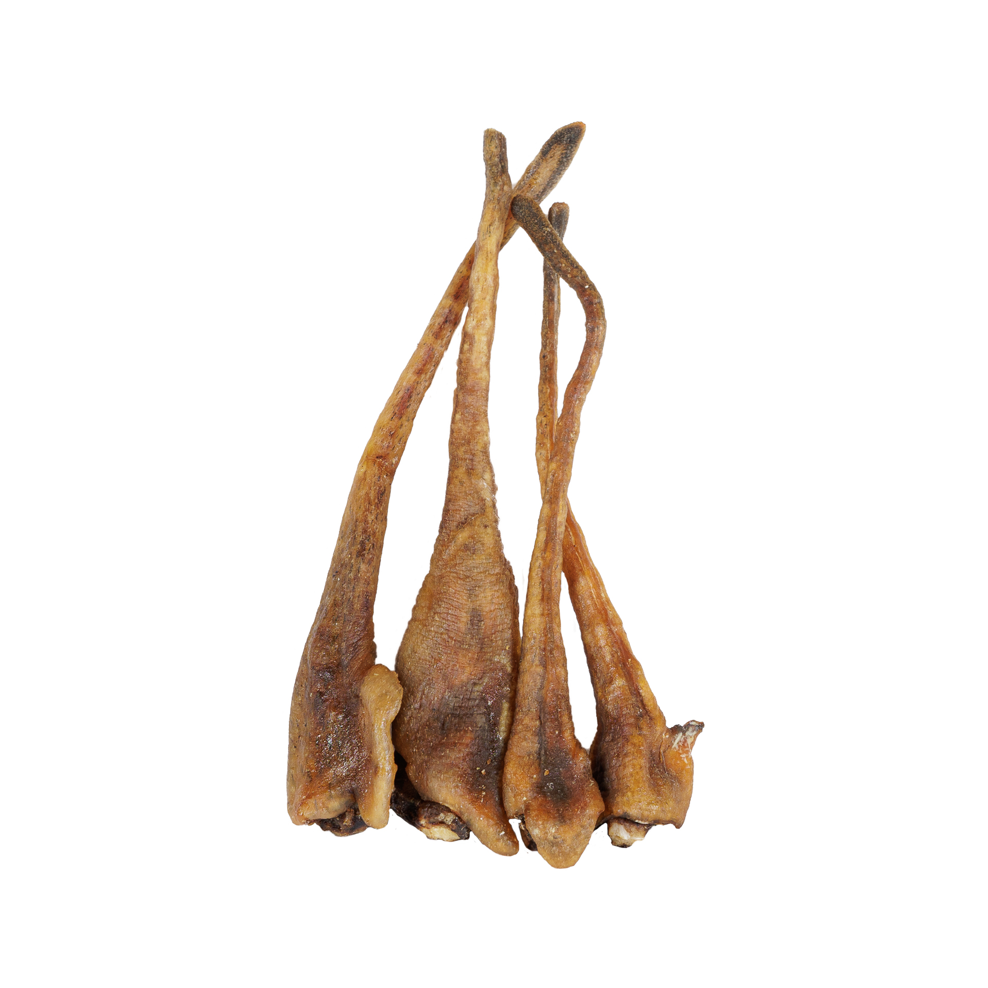 Ogon dzika 100g - obrazek 3